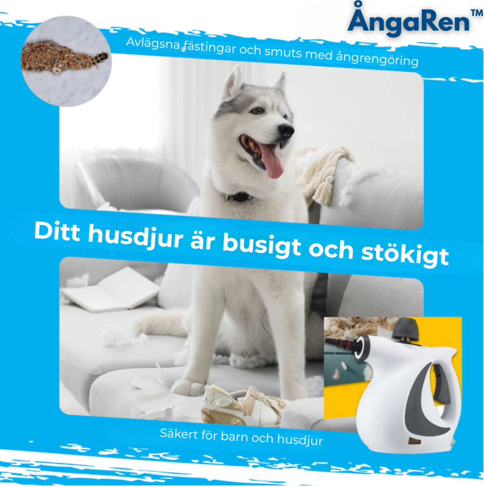 ÅngaRen™ MAX | Städa Rent – Utan Kemikalier. Bara Ånga.