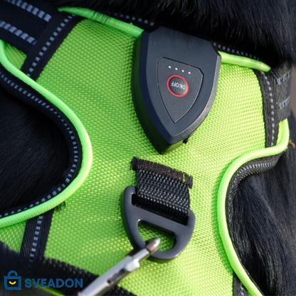 NightPaw™ LED-Sele