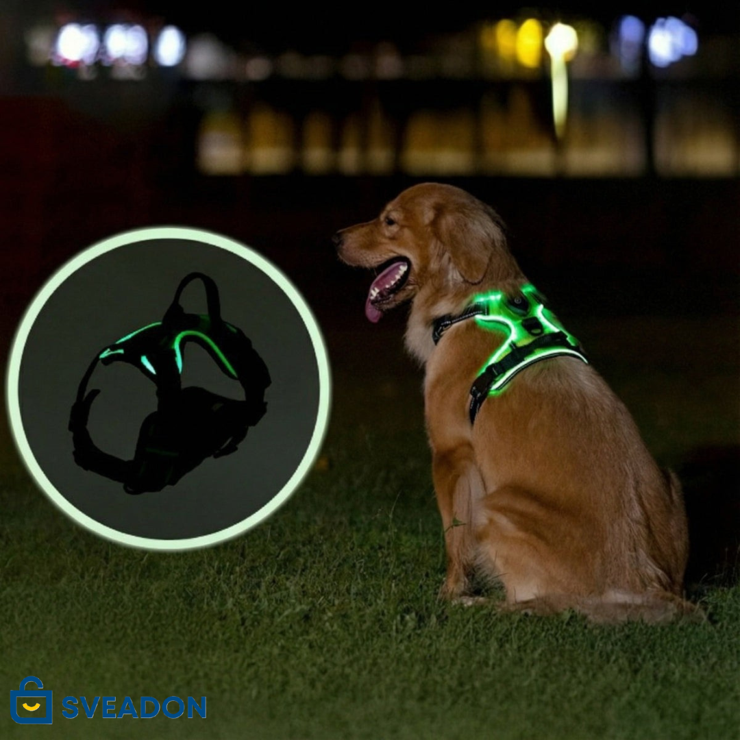 NightPaw™ LED-Sele