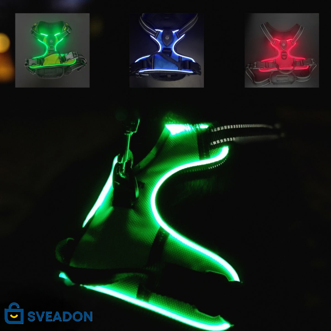 NightPaw™ LED-Sele