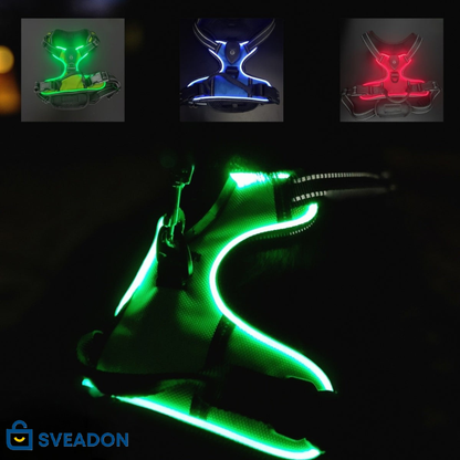 NightPaw™ LED-Sele