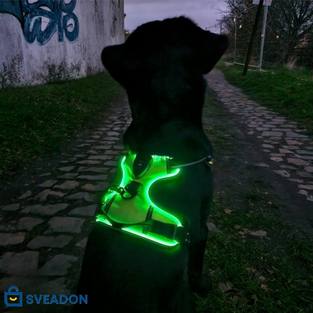 NightPaw™ LED-Sele