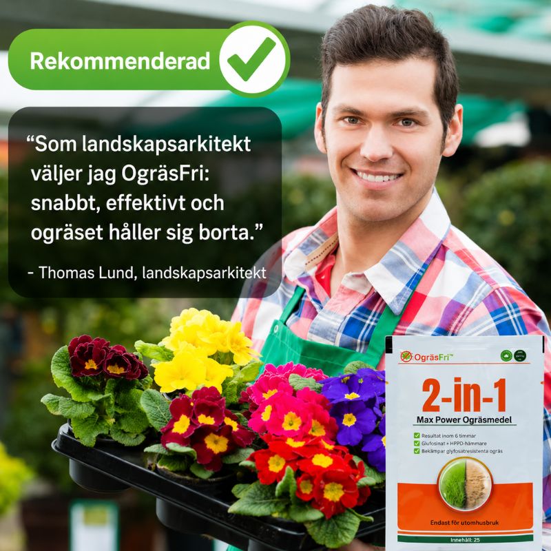 OgräsFri™ | Få rena utomhusytor utan evig kamp