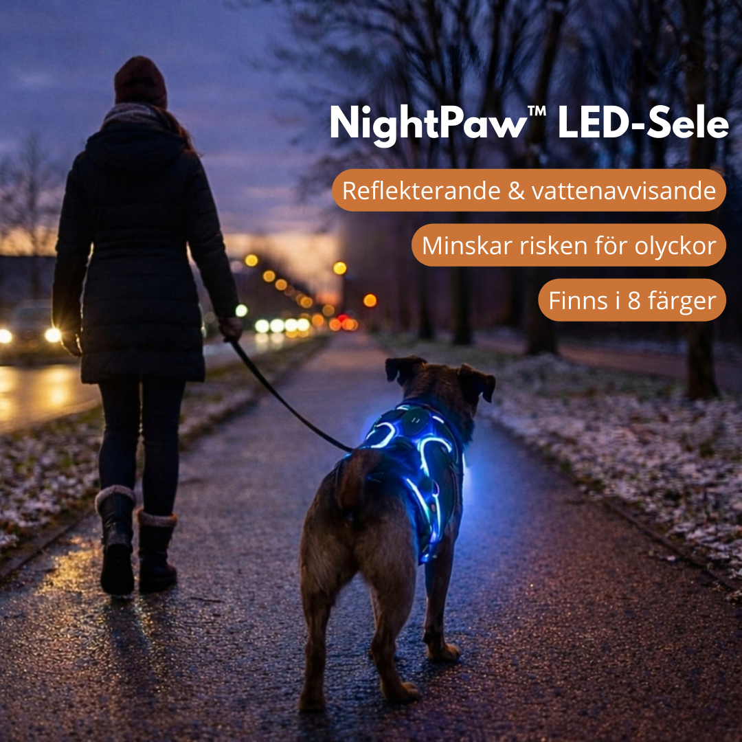 NightPaw™ LED-Sele