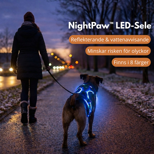 NightPaw™ LED-Sele