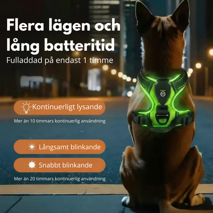 NightPaw™ LED-Sele