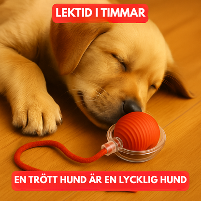 JaktGlädje™ | Det smarta sättet att lugna din hund på ett naturligt sätt