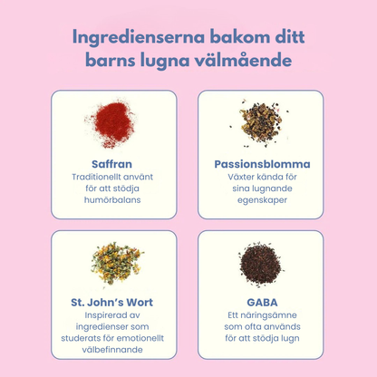 CalmiBear™ – När stora känslor blir lite lättare att bära
