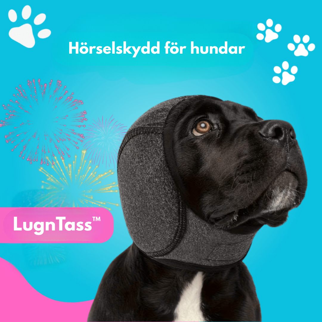 LugnTass™ - Hörselskydd för hundar