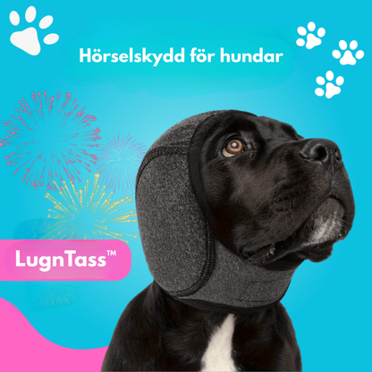LugnTass™ - Hörselskydd för hundar
