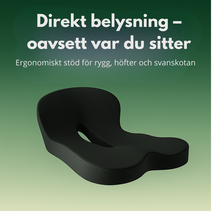 SittRo™ ErgoSeat