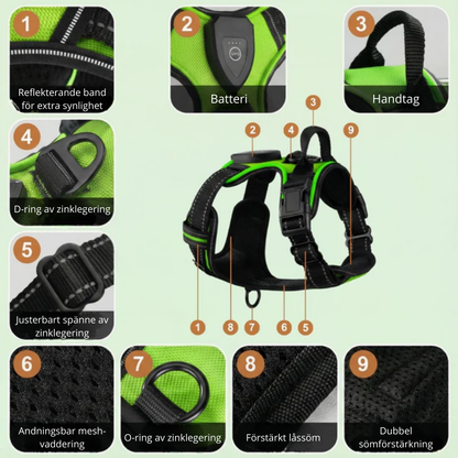NightPaw™ LED-Sele
