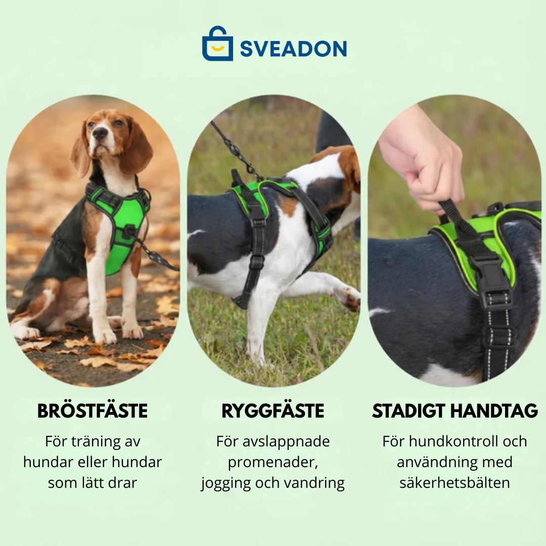 NightPaw™ LED-Sele