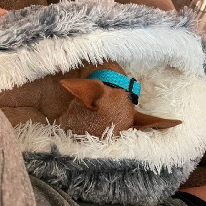 TryggGrotta™ Hund- och kattbädd rund bädd