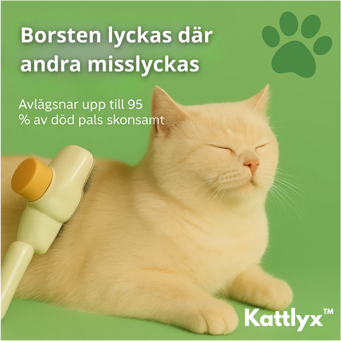 Kattlyx™ | Kattborsten som stoppar fällning och håller hemmet rent