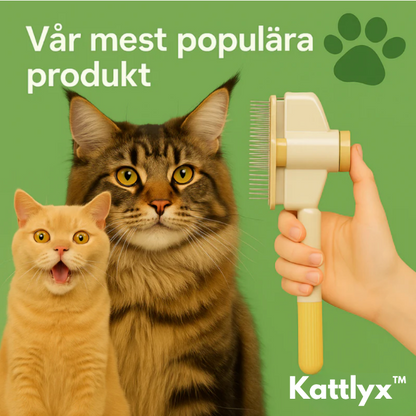 Kattlyx™ | Kattborsten som stoppar fällning och håller hemmet rent