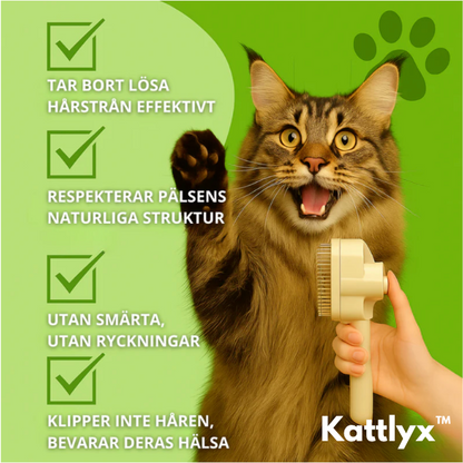 Kattlyx™ | Kattborsten som stoppar fällning och håller hemmet rent