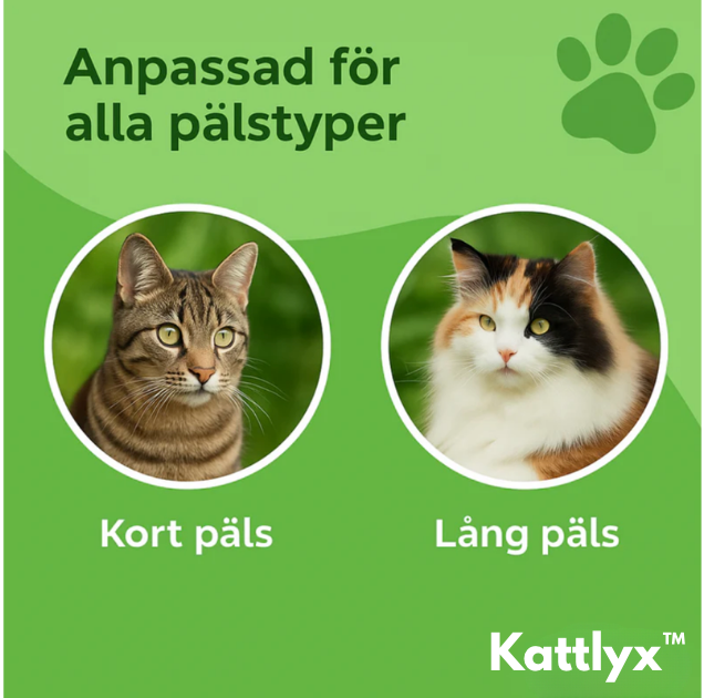 Kattlyx™ | Kattborsten som stoppar fällning och håller hemmet rent