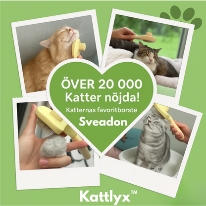 Kattlyx™ | Kattborsten som stoppar fällning och håller hemmet rent