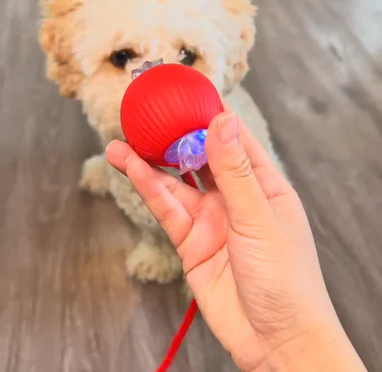 JaktGlädje™ | Det smarta sättet att lugna din hund på ett naturligt sätt