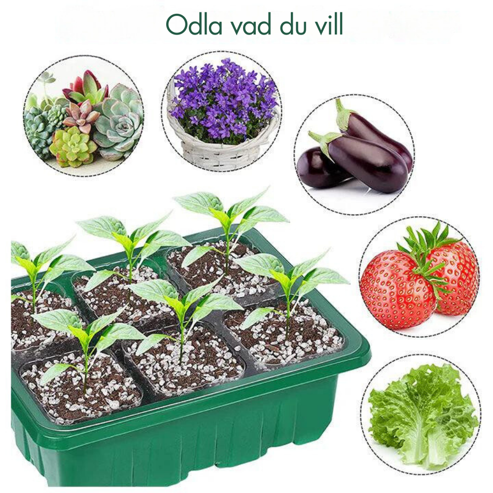 GrowEase™ – Enkel Inomhusodling för Ett Grönare Hem