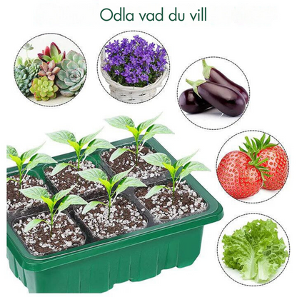 GrowEase™ – Enkel Inomhusodling för Ett Grönare Hem