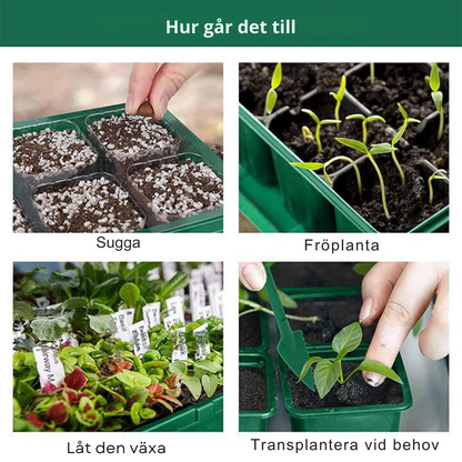 GrowEase™ – Enkel Inomhusodling för Ett Grönare Hem