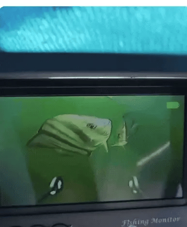 DjupSikt™ Fiskekamera med 30 meter kabel